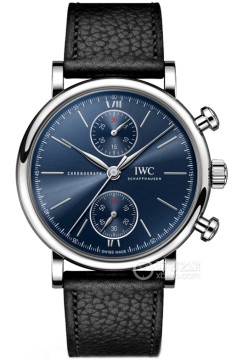 IWC万国表柏涛菲诺 IW391408