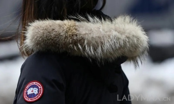 早报 | 加拿大鹅第一财季收入大跌逾63%；K11母公司斥资逾41亿元在上海收购新地块