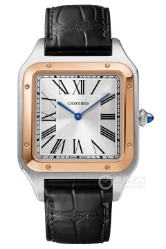 卡地亚山度士 W2SA0017