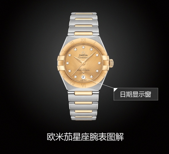 欧米茄星座系列131.20.29.20.58.001图解